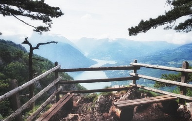 Ice Cream Truck Toronto | Best of Serbia